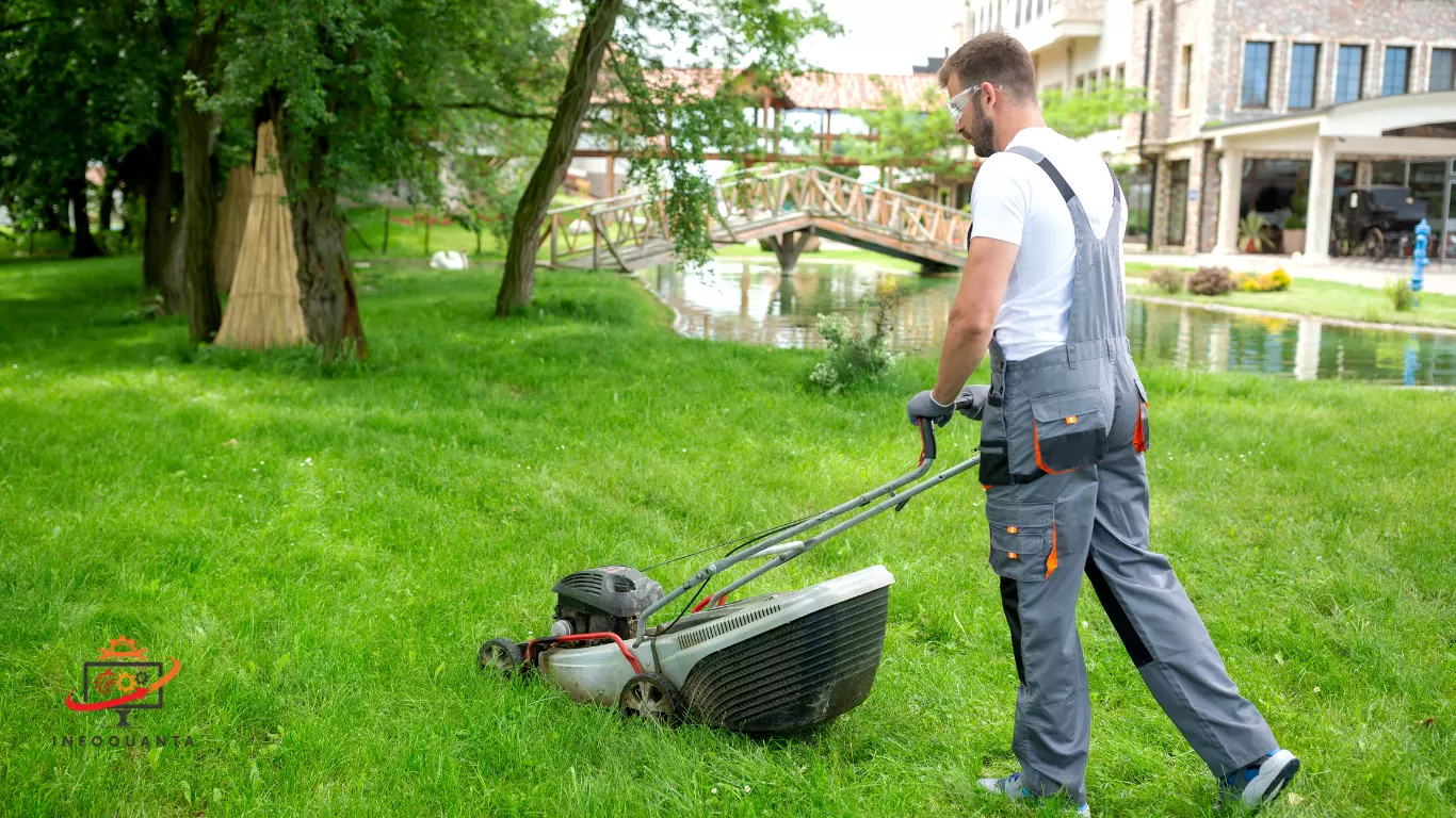 Grass Whisperers Discover How Push Mowers Benefit Your Lawn-infoquanta.com