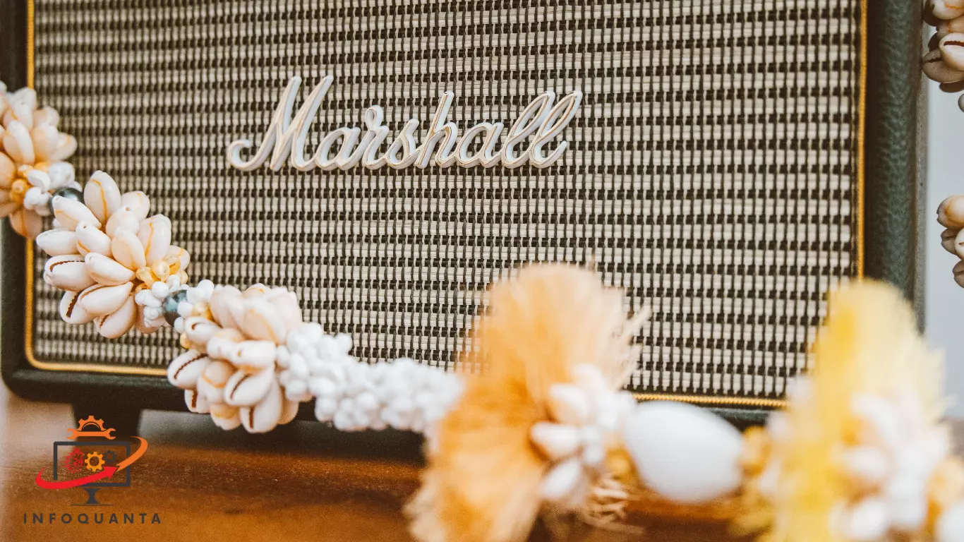 Is Marshall the best speaker brand?