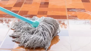 Mopping The Art of Thorough Cleansing-infoquanta.com