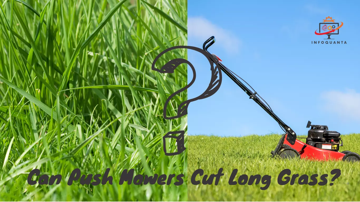 Rise of the Blades Push Mowers and the Long Grass Challenge-infoquanta.com